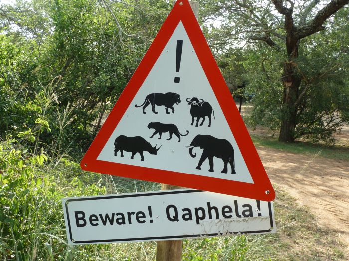 Vorsicht vor wilden Tieren 1